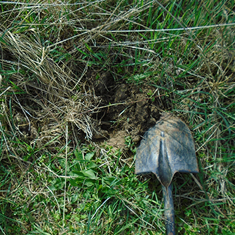 Ground Preparation