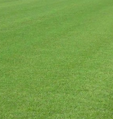 Go Turf Masters