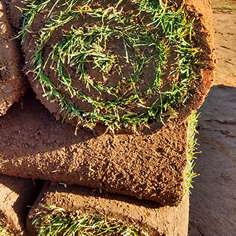 Ordering the Turf