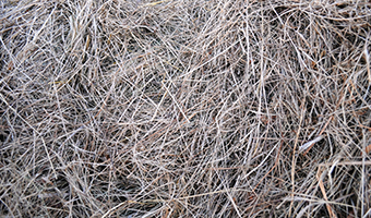 Scarifying