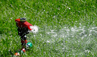 Watering